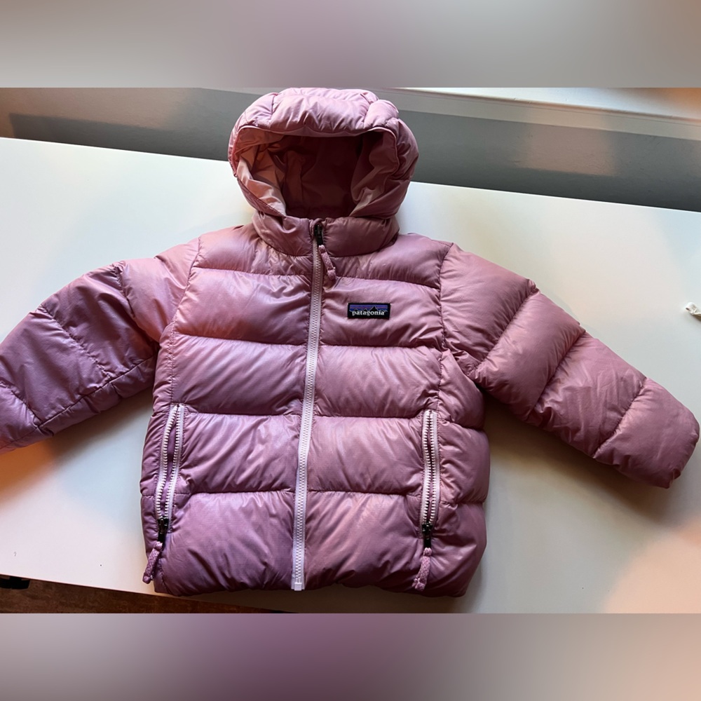 Patagonia Baby Hi-Loft Down Sweater™ Hoody